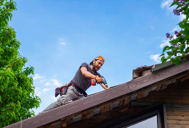 Best Metal Roofing Installation  in Marlinton, WV