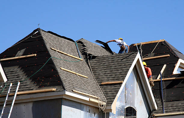 Best Roof Moss and Algae Removal  in Marlinton, WV